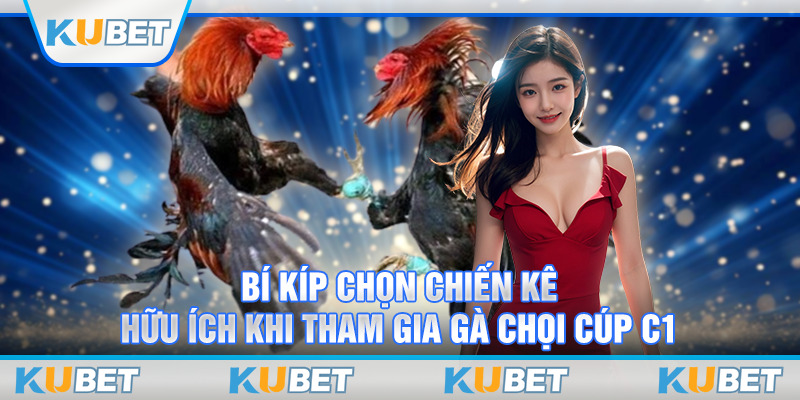 Bí kíp chọn chiến kê hữu ích khi tham gia gà chọi cúp c1